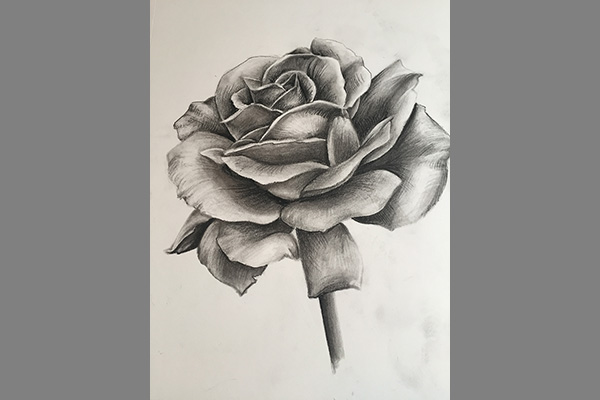 Charcoal Rose